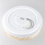 Citilux ENZO CL753352G LED RGB Светильник с пультом Клён
