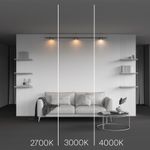 Трековый светильник Zon Levity 3000К 12Вт 100°, TR189-1-12W3K-BBS. TM Maytoni