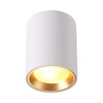 4206/1C HIGHTECH ODL20 393 белый/металл Потолочный светильник GU10 50W IP54 AQUANA