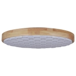 60530-0.2-60W светильник потолочный Reluce, LED