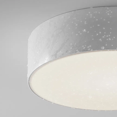 Уличный потолочный светильник Зон / Zon IP 4000 30Вт IP65, O431CL-L30W4K. TM Maytoni