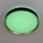 Citilux BOSS CL751351G LED RGB Светильник с пультом Чёрный с Золотом