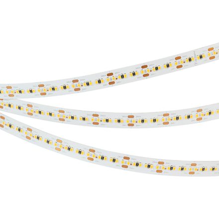 Светодиодная лента MICROLED-M300-10mm 24V Day5000 (21.6W/m, IP20,2216, 5m) (Arlight, 21.6 Вт/м, IP20)