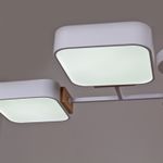 03363-0.3-04 WH+WOOD светильник потолочный