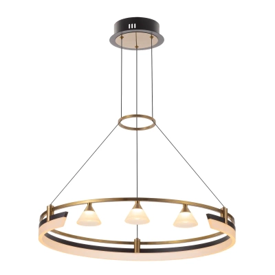 Citilux HELLY CL211062 Подвесная светодиодная люстра