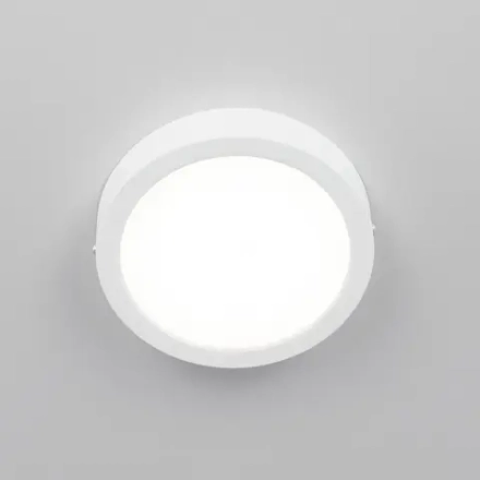 Citilux Галс CL5516N Светильник накладной светодиодный