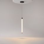 Подвесной светильник Ray P021PL-L10B. ТМ Maytoni