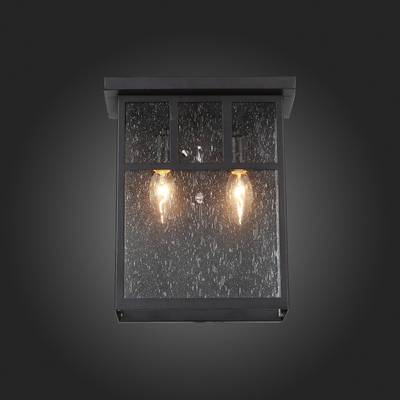 SL079.401.02 Светильник уличный настенный ST-Luce Темный кофе/Прозрачное кракелированное стекло E14 2*60W