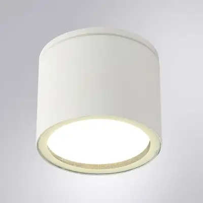 Уличный потолочный светильник Arte Lamp PIAUTOS A1913PF-1WH, 1хGX53