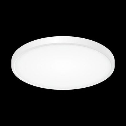 Citilux Бейсик CL738320V Светильник накладной Белый