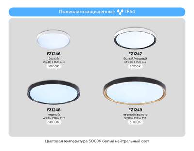 Потолочный светодиодный светильник FZ1248 BK черный IP54 30W 5000K D380*60 (Без ПДУ)