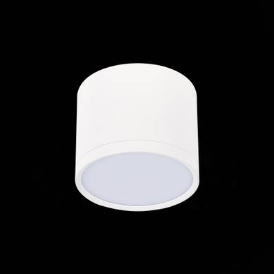 ST113.532.09 Светильник потолочный Белый LED 1*9W 3000K 702Lm Ra&gt;80 120° IP20 D88xH75 170-240V