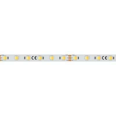 Светодиодная лента RT 6-5000 24V White-MIX-One 2x (5060, 60 LED/m, LUX) (Arlight, Изменяемая ЦТ)