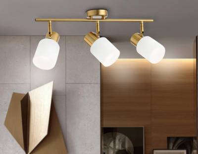 Настенно-потолочный спот TR3972/3 BS/FR латунь/белый матовый  E27*3 max 40W 460*80*140