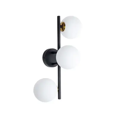 Настенно-потолочный светильник Arte Lamp GEMINI A2243PL-3BK, 3хG9