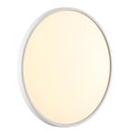 7659/40L MITRA LED SN 52 Светильник пластик/белый LED 40Вт 3000/4000K D495 IP40 ALFA WHITE