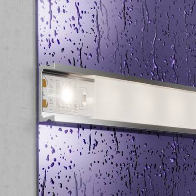 Светодиодная лента 12В 5050 14,4Вт/м 4000K 5м IP65, 10132. TM Maytoni