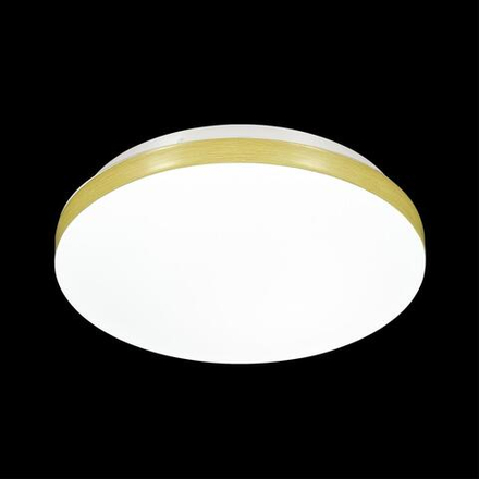 3066/AL MINI SN 207 Светильник пластик/белый/под светлое дерево LED 12Вт 4000К D215 IP43 SMALLI