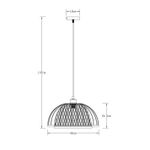 Подвесной светильник Arte Lamp WOODSTOCK A7071SP-1BK, 1хE27