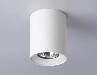 Светильник накладной TN213136 WH белый GU10 max 12W D80*100