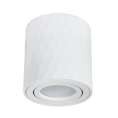 Точечный накладной светильник Arte Lamp FANG A5559PL-1WH, 1хGU10
