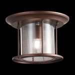 SL080.402.01 Светильник уличный потолочный ST-Luce Темный кофе/Прозрачный, Темный кофе E27 1*60W