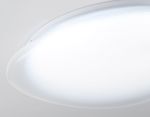 Светильник светодиодный потолочный FZ1605 FR матовый IP20 60W 5000K 510*100 (Без ПДУ)