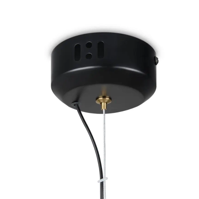 Подвесной светильник Enchantment FR5384PL-L13GN, LED. TM Maytoni
