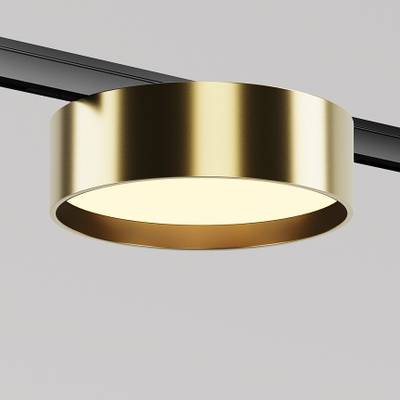 Трековый светильник Zon Levity 3000К 12Вт 100°, TR189-1-12W3K-BBS. TM Maytoni