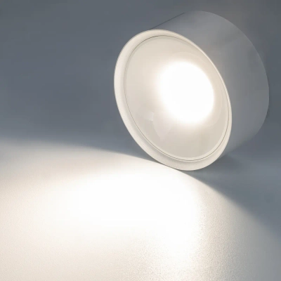 Citilux ROVER CL743150N LED Накладной светильник Белый