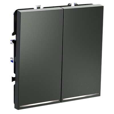 VLS020206 Выключатель встраиваемый VOLTUM S70 двухклавишный с подсветкой 10А, (титан) (ТМ Maytoni)