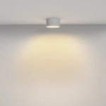 Потолочный светильник Зон / Zon 12 Вт 2700 К 120°, C032CL-12W2.7K-RD-W. TM Maytoni