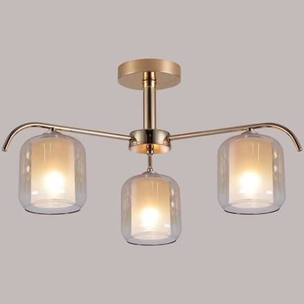 98470-0.3-03 светильник потолочный