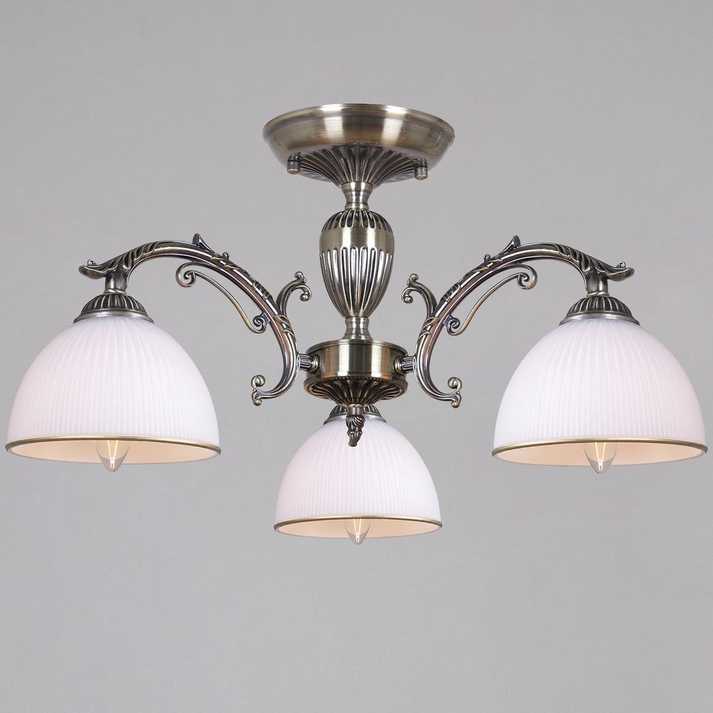 19018-0.3-03 светильник потолочный