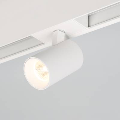 Светильник MAG-SPOT-45-R85-7W Day4000 (WH, 24 deg, 24V) (Arlight, IP20 Металл, 5 лет)