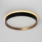 Citilux ETALON CL750241 LED Светильник с подсветкой Чёрный+Золото