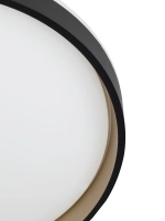 Citilux ENZO CL753451G LED RGB Светильник с пультом Черный + Золото