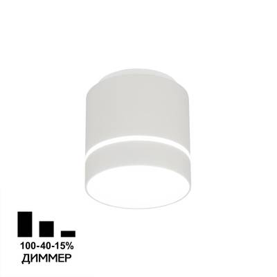 Citilux Борн CL745010N LED Светильник накладной Белый
