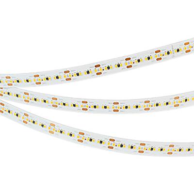 Лента MICROLED-M300-10mm 24V Day4000 (21.6 W/m, IP20, 2216, 5m) (Arlight, Открытый)