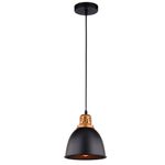 Подвесной светильник Arte Lamp EURICA A4245SP-1BK, 1хE27