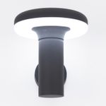 Citilux CLU01W LED Уличный настенный светильник Графит
