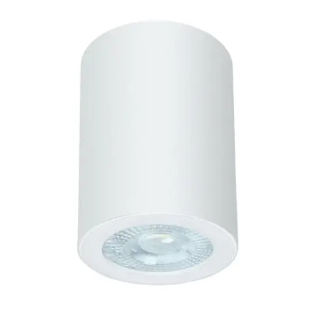 Точечный накладной светильник Arte Lamp TINO A1468PL-1WH, 1хGU10