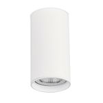 ST157.542.15 Светильник потолочный Белый LED 1*15W 4000K 1 200Lm Ra&gt;90 60° IP44 D75xH140 220-265V