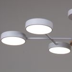 03335-0.3-06 WH+WOOD светильник потолочный