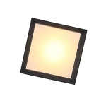 SL077.402.01 Светильник уличный потолочный ST-Luce Черный/Белый LED 1*12W 3000K