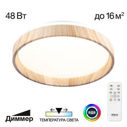 Citilux ENZO CL753352G LED RGB Светильник с пультом Клён