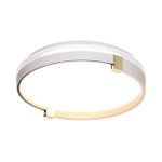 7646/CL PALE SN 138 Светильник пластик/белый/золотой LED 30Вт 4000К D340 IP43 OLIDI WHITE