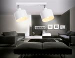 Настенно-потолочный спот в стиле лофт TR8141/2  WH белый E27*2 max 40W 340*120*180