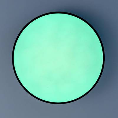 Citilux Купер CL72470G1 LED RGB Светильник с пультом Чёрный