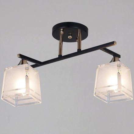 46460-0.3-02 BK+FG светильник потолочный